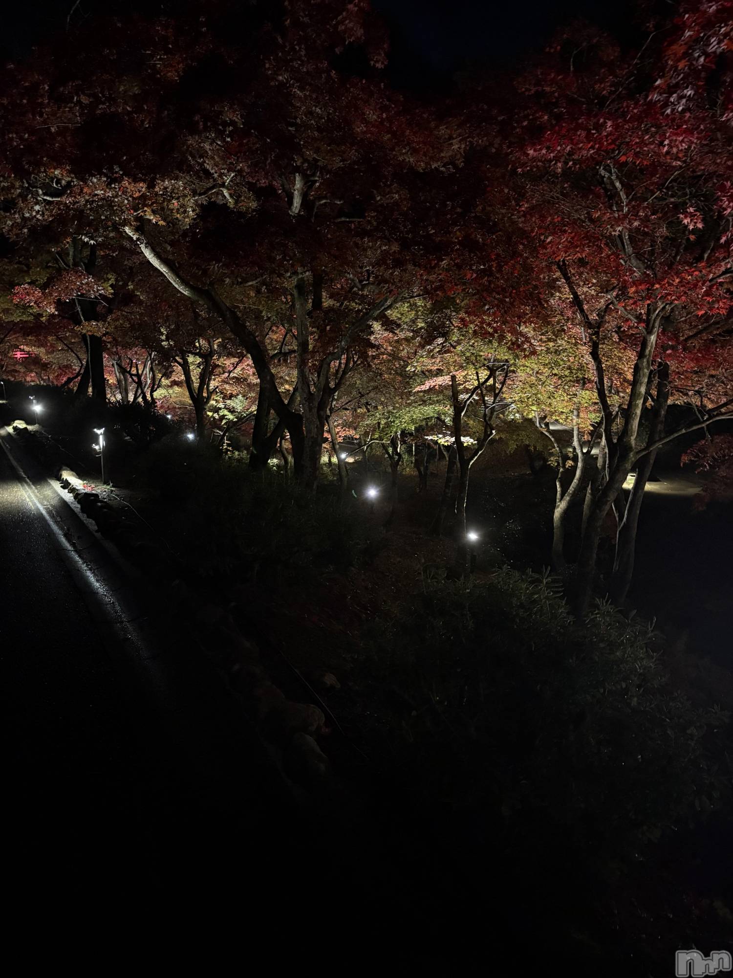 Х顦GRAND ROUGE(롼) 2025ǯ1124̥֥‼️