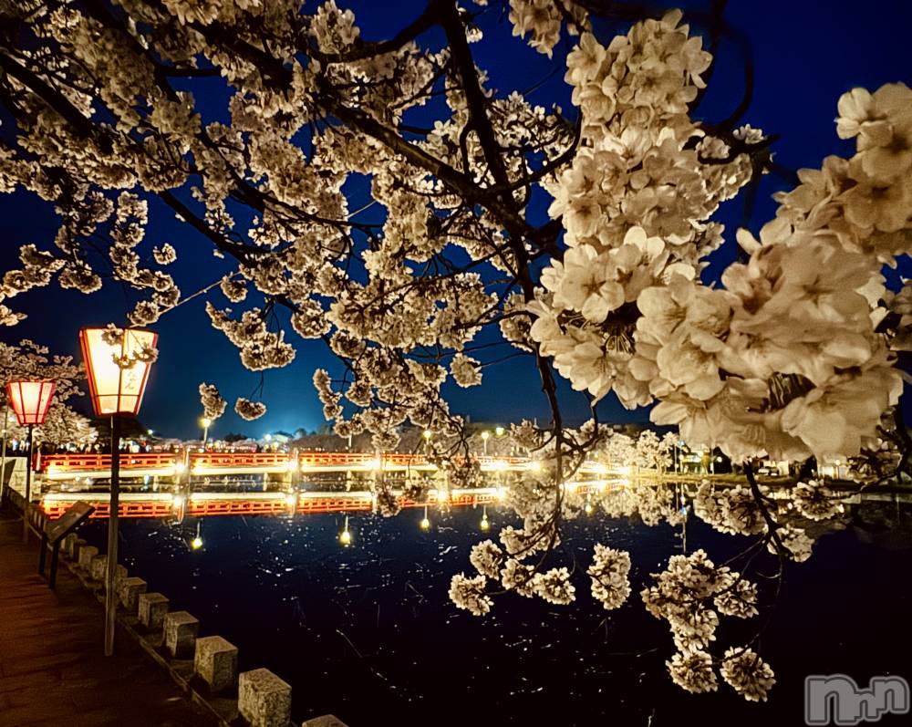 長岡デリヘルMimi(ミミ) ほのか(26)の4月17日写メブログ「夜桜🌙🌸」