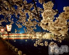 長岡デリヘルMimi(ミミ) ほのか(26)の4月17日写メブログ「夜桜🌙🌸」