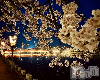 長岡デリヘル Mimi(ミミ) ほのか★月間RANK7位★(26)の4月17日写メブログ「夜桜🌙🌸」