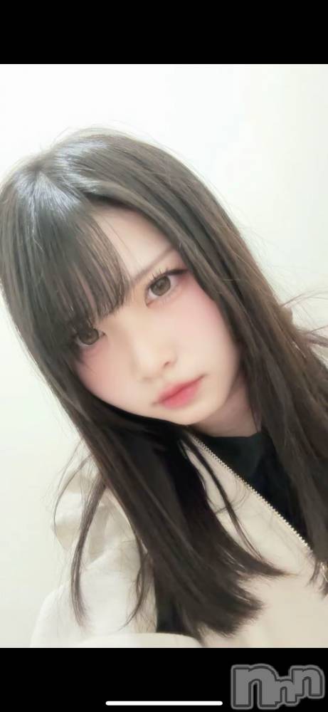 ȯѥ˥󥯥ֿ㥳 -㥳ѥ˥󥯥-(˥ -˥ѥ˥󥯥-) Ϥ뤫ԤNEWե1118̥֥ǯ⤦