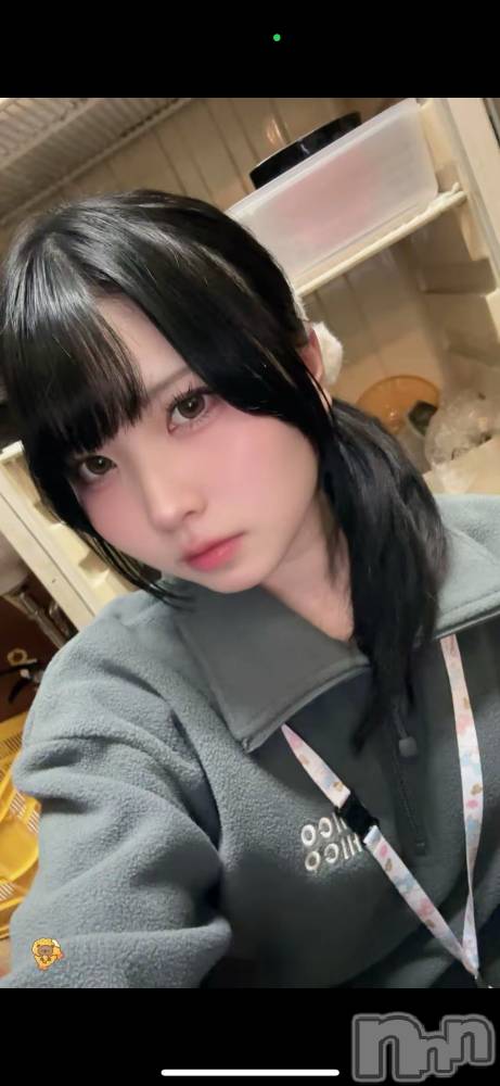 ����ȯ����ѥ˥��󥯥�ֿ��㥳��� -���㥳��ѥ˥��󥯥��-(�˥���������� -�˥���������ѥ˥��󥯥��-) �Ϥ뤫�����Ԥ�NEW�ե�������12��23���̥�֥����֥ӥ��󤤤ޤ�������