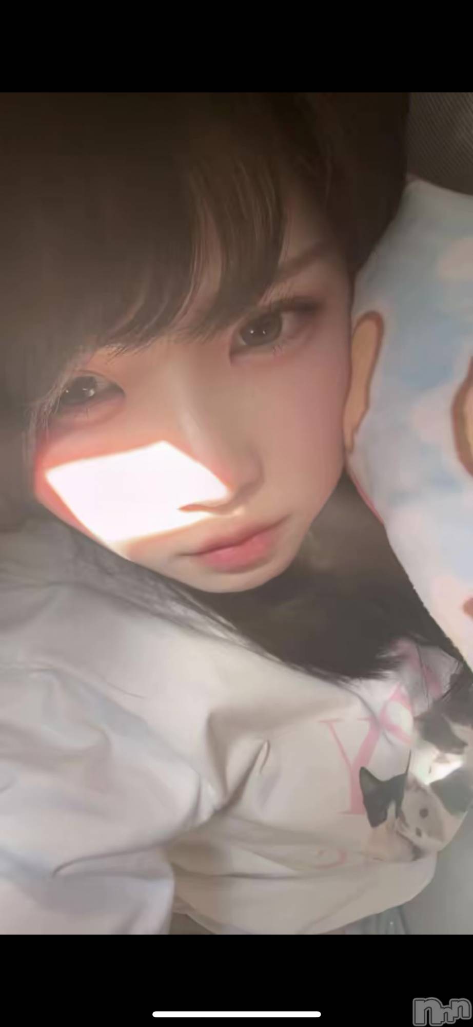 ȯѥ˥󥯥ֿ㥳 -㥳ѥ˥󥯥-(˥ -˥ѥ˥󥯥-) 2025ǯ1029̥֥֤Ҥ͡