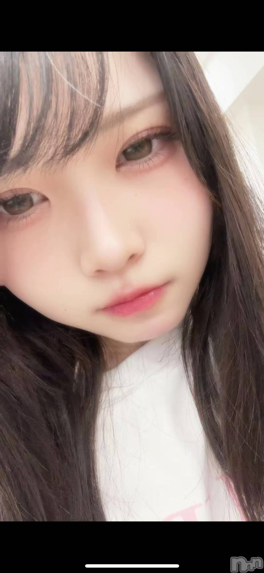 ȯѥ˥󥯥ֿ㥳 -㥳ѥ˥󥯥-(˥ -˥ѥ˥󥯥-) 2025ǯ1114̥֥֤Ӥʤ