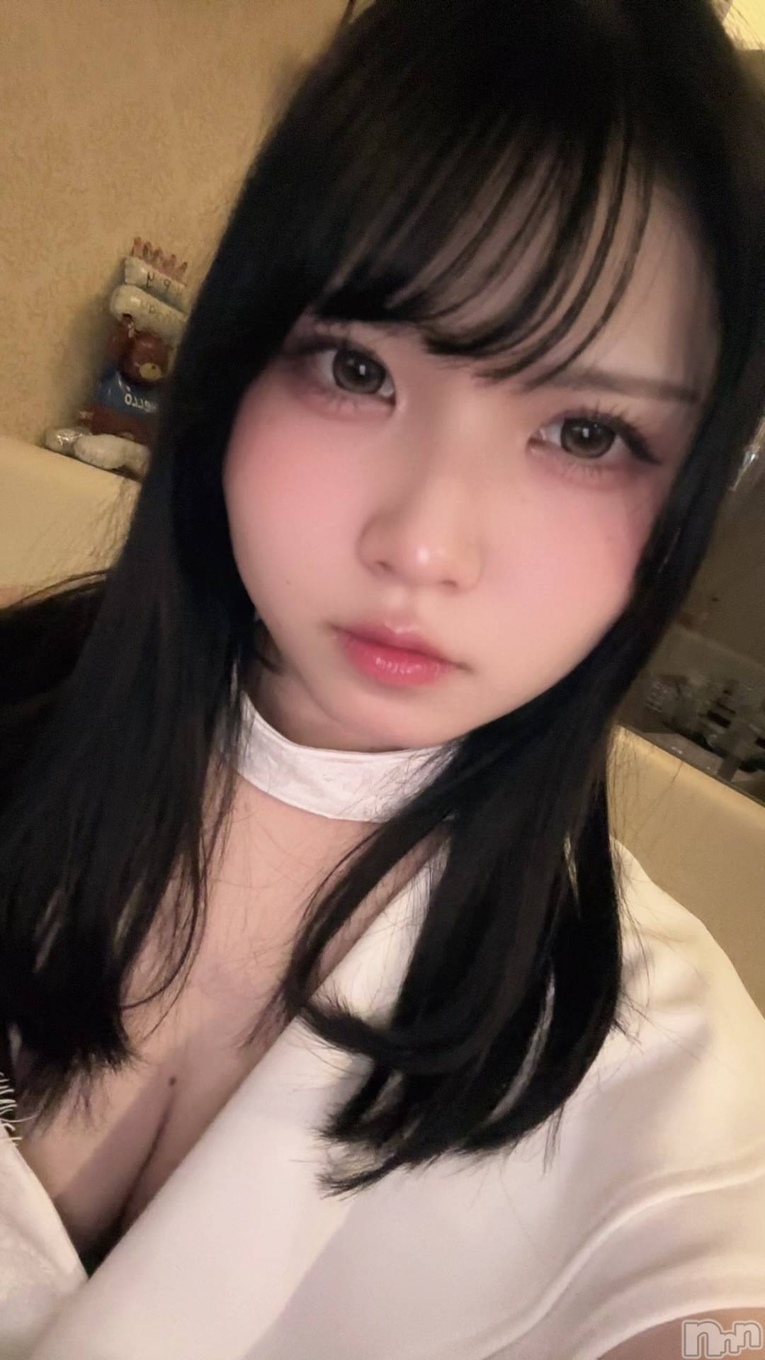 ȯѥ˥󥯥ֿ㥳 -㥳ѥ˥󥯥-(˥ -˥ѥ˥󥯥-) 2025ǯ122ָ̥֥ĮҤޤ