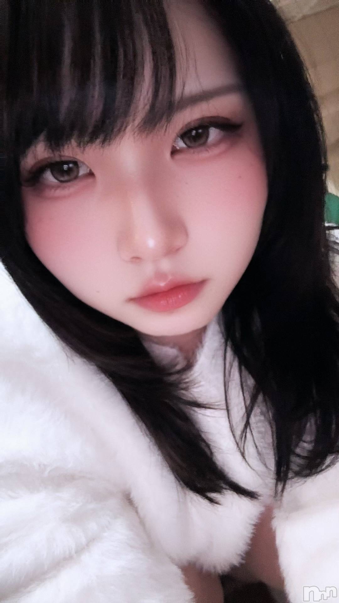 ����ȯ����ѥ˥��󥯥�ֿ��㥳��� -���㥳��ѥ˥��󥯥��-(�˥���������� -�˥���������ѥ˥��󥯥��-) ��2026ǯ2��10���̥�֥����֤ޤĤ��̤�����