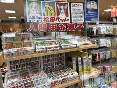 新潟メンズエステMYIRO　-マイロ-(マイロ) きりみ(25)の12月28日写メブログ「犬猫美容 松田ペット🐕 ͗ ͗🐈‍⬛」