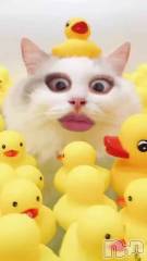 新潟メンズエステMYIRO　-マイロ-(マイロ) きりみ(25)の11月28日動画「11月28日 18時02分のブログ」