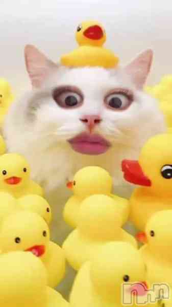 きりみの動画 11月28日 18時02分のブログ