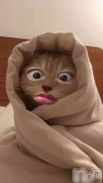 きりみの動画 𝑳𝒐𝒗𝒆 𝒔𝒐 𝒔𝒘𝒆𝒆𝒕ってこと🌟‎^_-