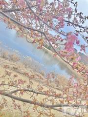 新潟デリヘル人妻楼　新潟店(ヒトヅマロウ　ニイガタテン) 笑美香(24)の4月2日写メブログ「春ですね☘️🌸」