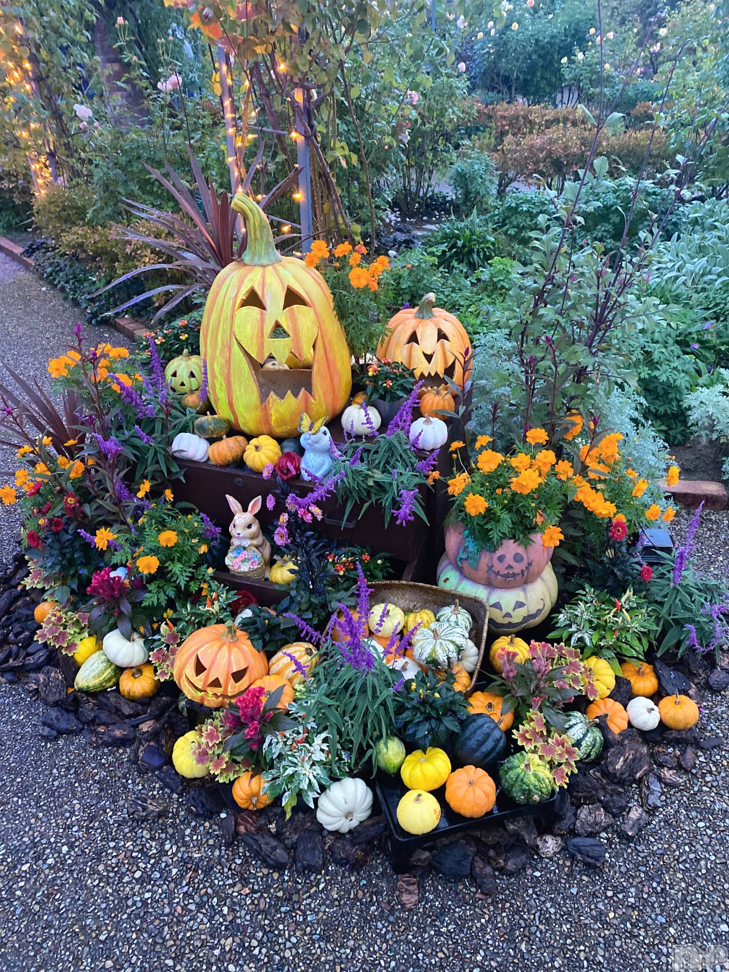 Х顦CLUB Reve-졼-(֥졼) 2025ǯ1023̥֥֥ϥԥϥ⁇