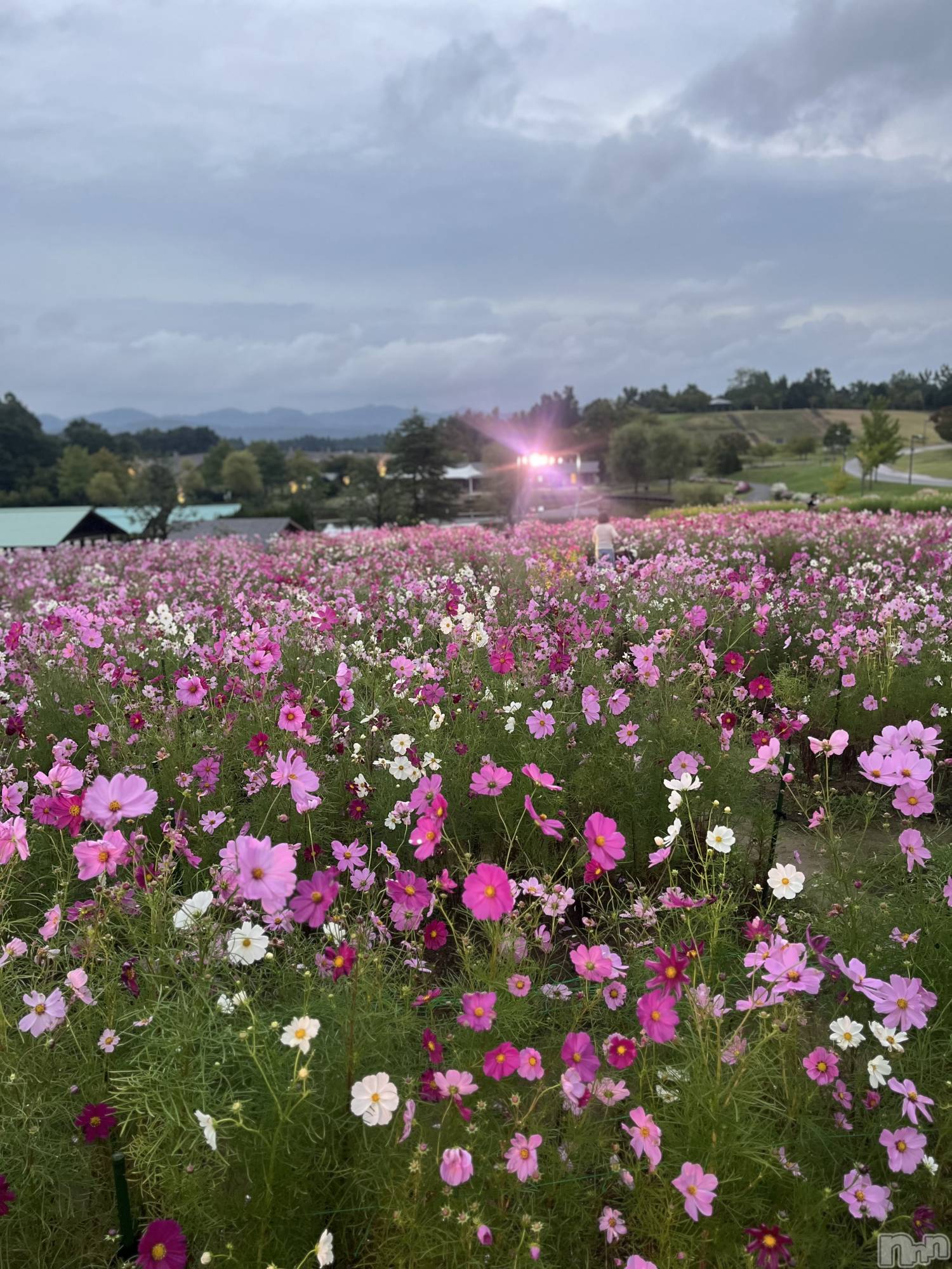 �������������Х��顦�����CLUB Reve-�졼��-(����֥졼��) ��2026ǯ3��23���̥�֥����ֲ�ʴ����🤧��