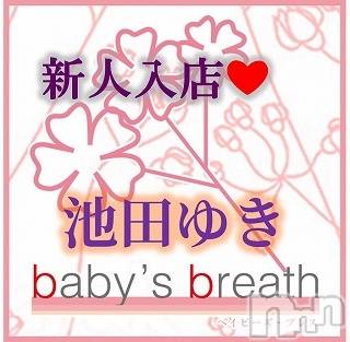 㡦ȯĥꥢ󥺥baby's breath(٥ӡ ֥쥹) Ĥ椭ڿۤ͡917̥֥֤ꤤޤĤ椭Ǥ