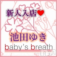 baby's breath