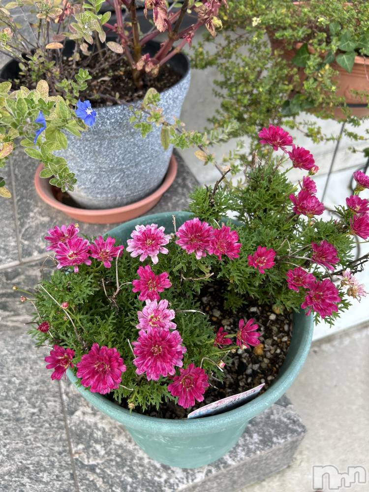 ¿·³ã±ØÁ°¥¥ã¥Ð¥¯¥é¡¦¥¯¥é¥Ö½Ï½÷¥¥ã¥Ð¥¯¥é Lips(¥¸¥å¥¯¥¸¥ç¥¥ã¥Ð¥¯¥é¥ê¥Ã¥×¥¹) ¤¤¤í¤Ï¤Î10·î28Æü¼Ì¥á¥Ö¥í¥°¡Ö¥Þ¥¼¥ó¥À¥Ô¥ó¥¯¡×