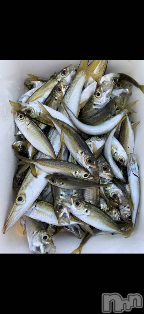 Х顦ֽϽХ Lips(奯祭Хåץ) Ϥ114̥֥֥ӥ