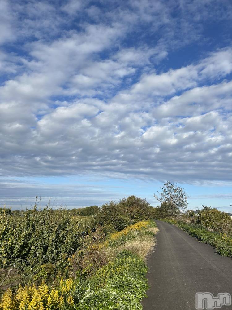 Х顦ֽϽХ Lips(奯祭Хåץ) Ϥ116ֻ̥֥