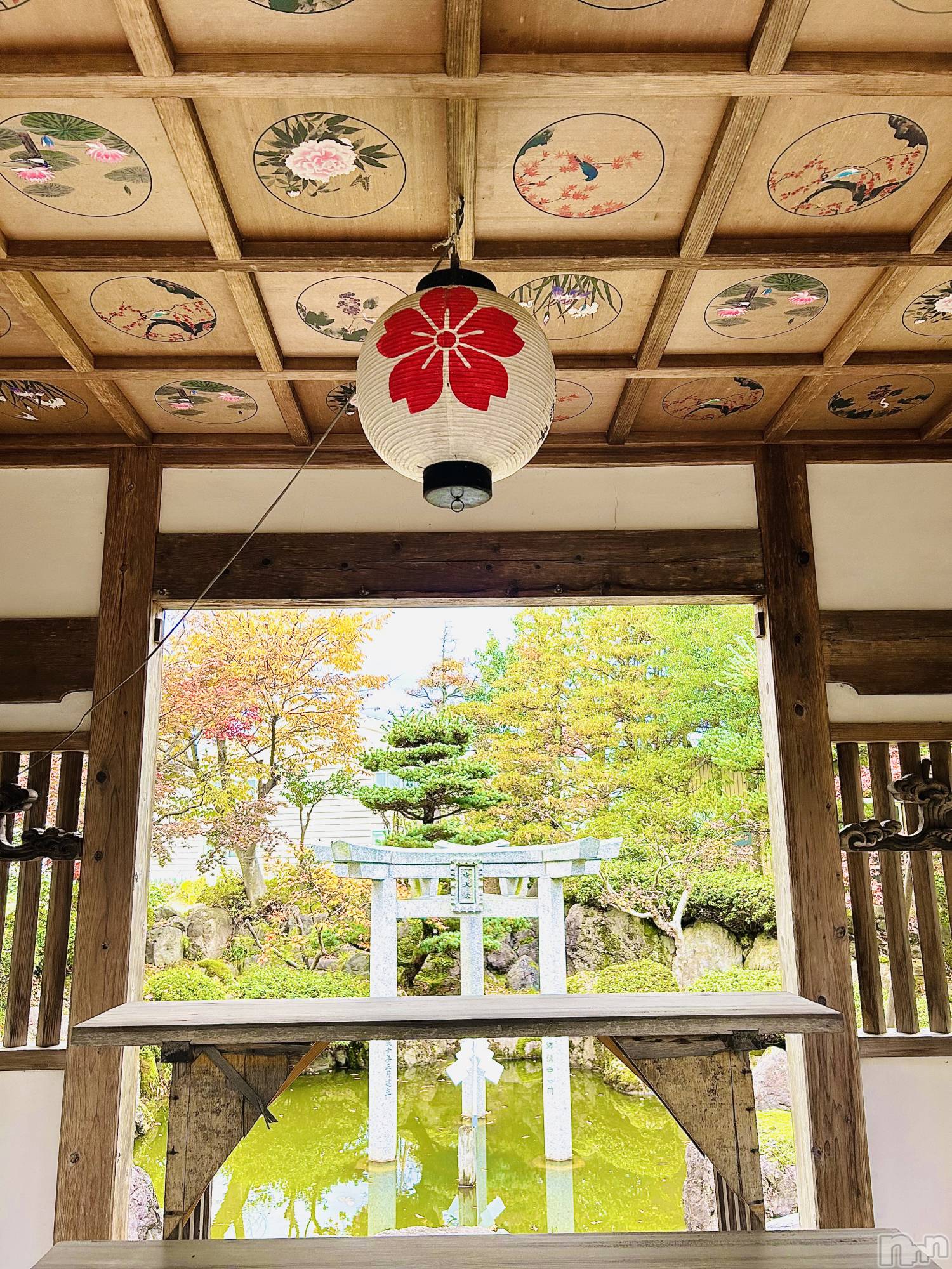 Х顦ֽϽХ Lips(奯祭Хåץ) 2025ǯ112̥֥Ʋ