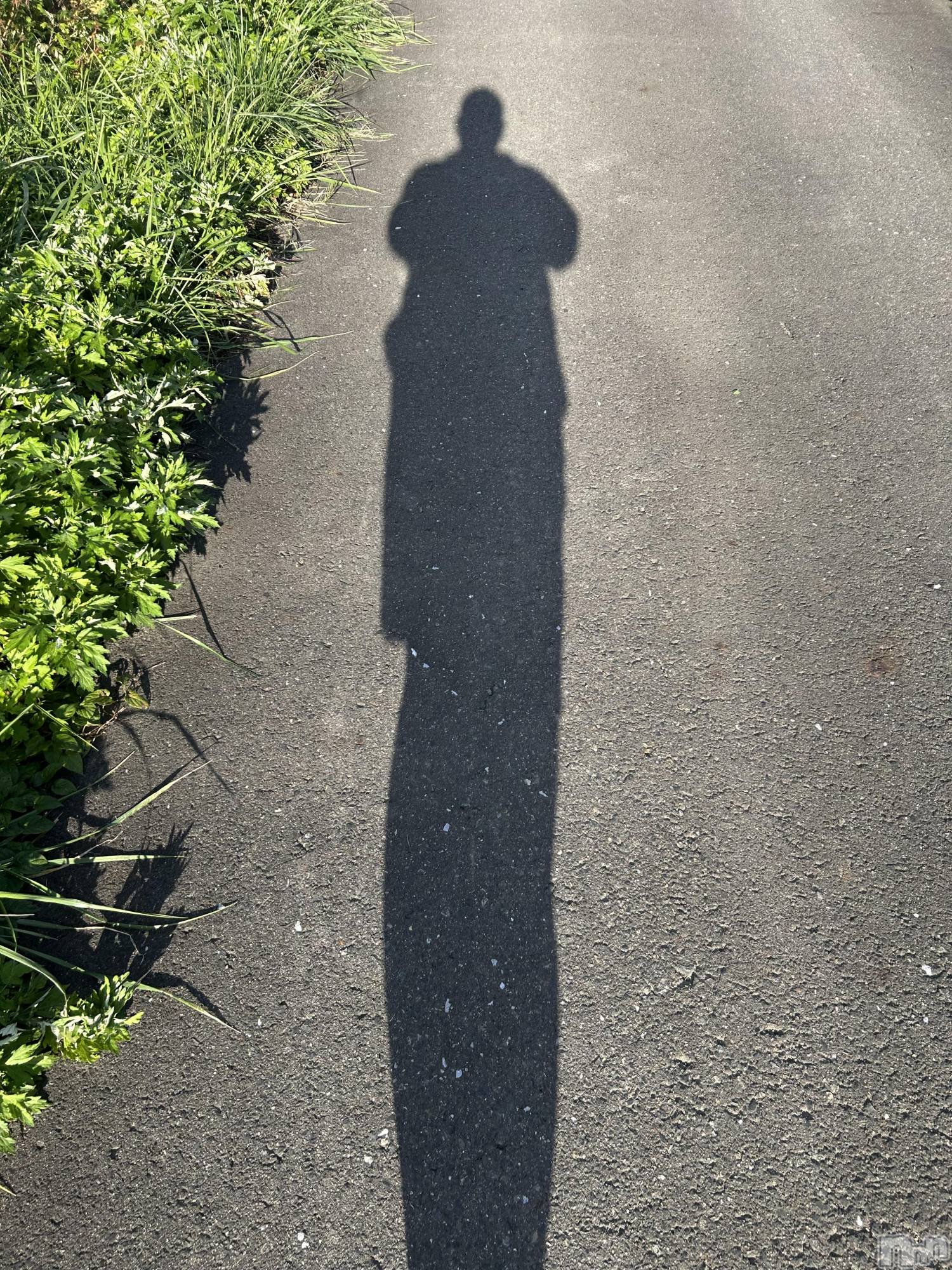 Х顦ֽϽХ Lips(奯祭Хåץ) 2025ǯ116ֱ̥֥ơ