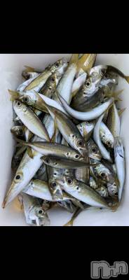 Х顦ֽϽХ Lips(奯祭Хåץ) Ϥ114̥֥֥ӥ