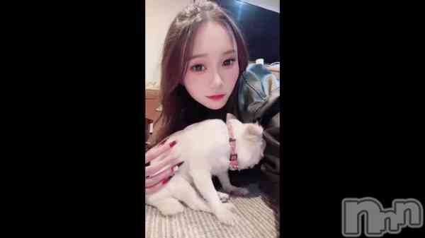 ֻ&#x1F436;&#x1F43E;