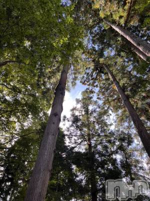 Įʥå륺СL'asile(饸) ޤ1024̥֥1024 2116ʬΥ֥