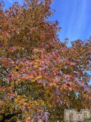 Įʥå륺СL'asile(饸) ޤ119̥֥119 2305ʬΥ֥