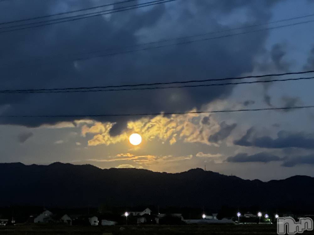 ʥå륺СʥåBar Peace(ʥåС ԡ) 餳117̥֥🌙✨