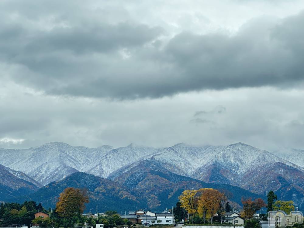 ʥå륺СʥåBar Peace(ʥåС ԡ) 餳1119̥֥⛰️❄️