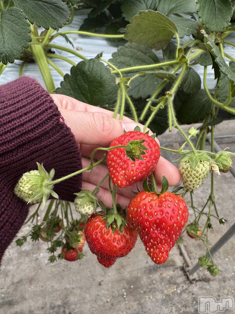 ����������ʥå��������륺�С����ʥå�Bar Peace(���ʥå��С� �ԡ���) �餳��3��9���̥�֥�����🍓✨��