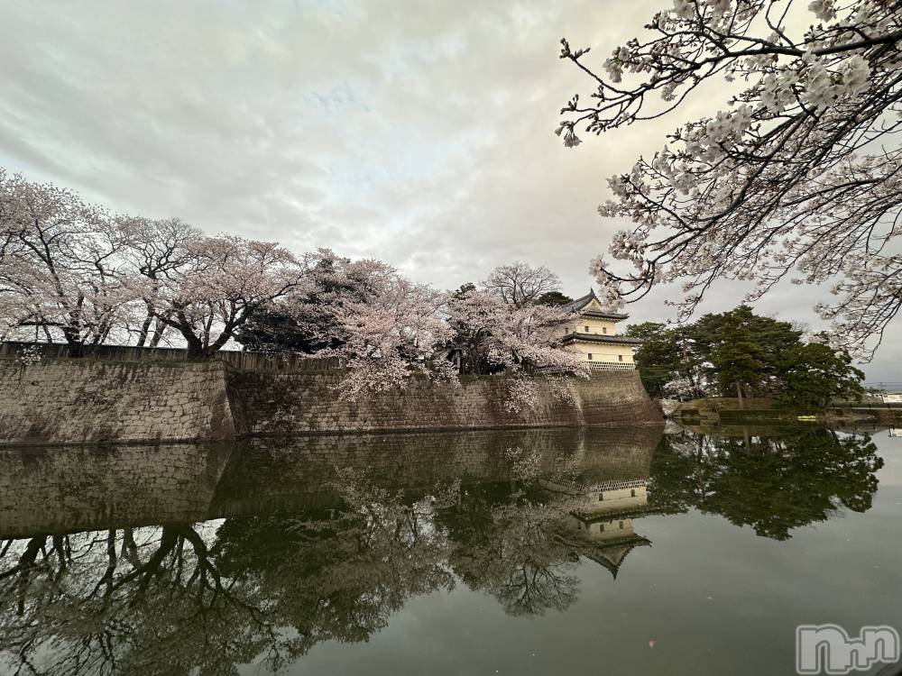 ����������ʥå��������륺�С����ʥå�Bar Peace(���ʥå��С� �ԡ���) �餳��4��8���̥�֥�����🌸🍡��