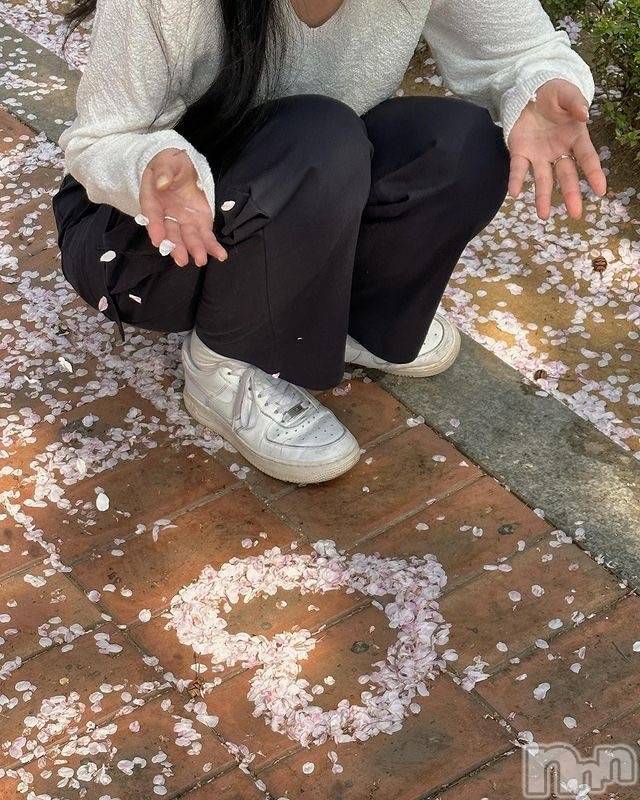 ����������ʥå��������륺�С����ʥå�Bar Peace(���ʥå��С� �ԡ���) �餳��4��15���̥�֥����ֺ����ä���ä��͡�