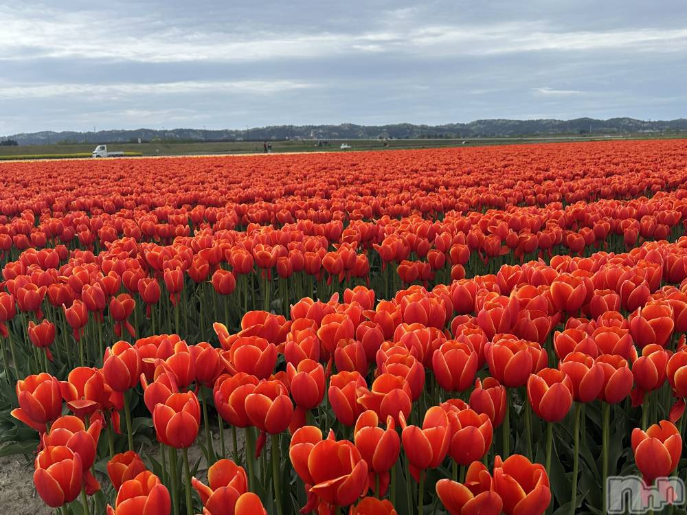 ����������ʥå��������륺�С����ʥå�Bar Peace(���ʥå��С� �ԡ���) �餳��4��23���̥�֥�����🌷🤍��