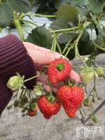 ����������ʥå��������륺�С����ʥå�Bar Peace(���ʥå��С� �ԡ���) �餳��3��9���̥�֥�����🍓✨��