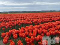 ����������ʥå��������륺�С����ʥå�Bar Peace(���ʥå��С� �ԡ���) �餳��4��23���̥�֥�����🌷🤍��