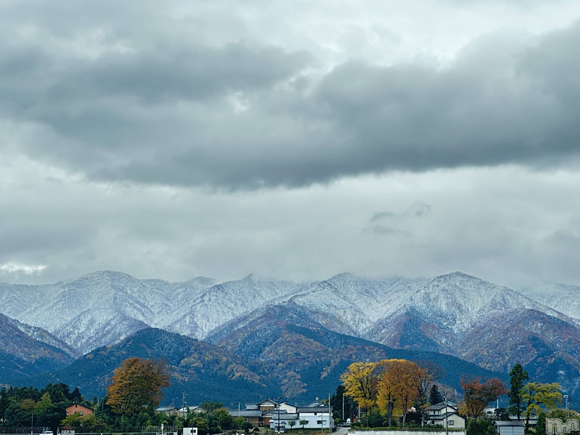 ʥå륺СʥåBar Peace(ʥåС ԡ) 2025ǯ1119̥֥⛰️❄️