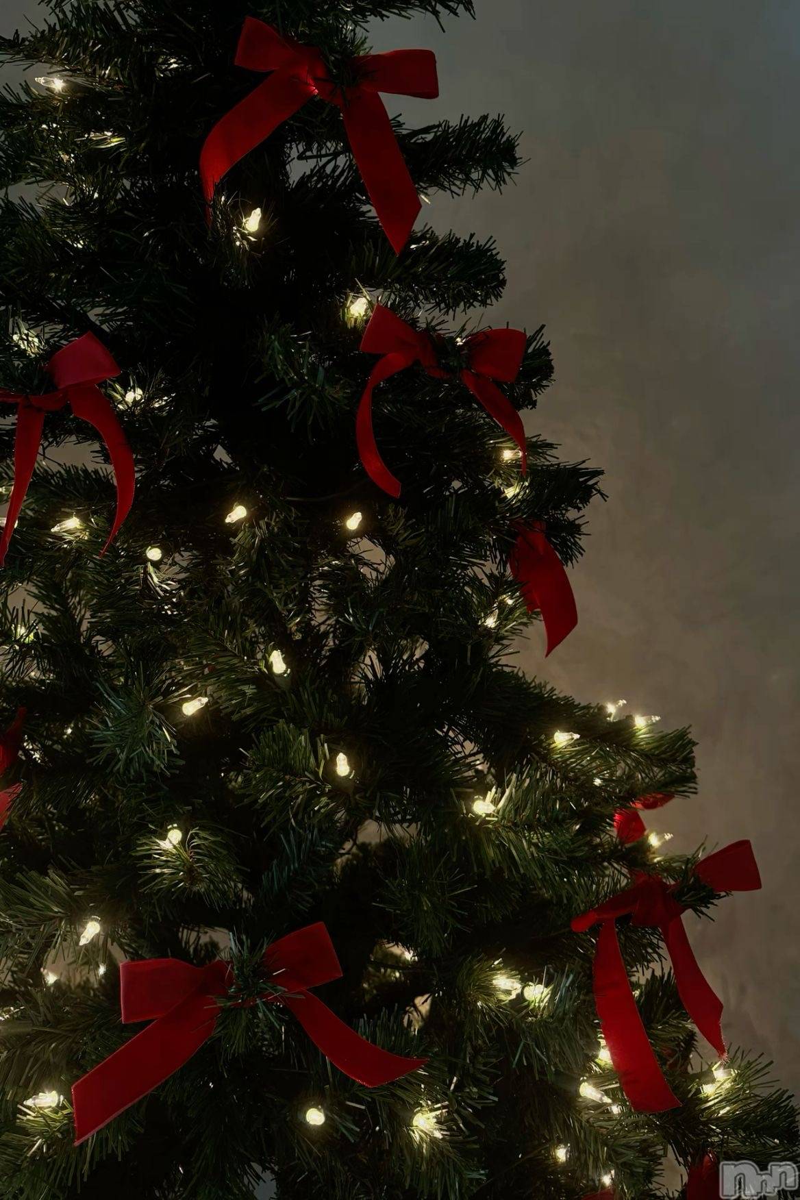 ����������ʥå��������륺�С����ʥå�Bar Peace(���ʥå��С� �ԡ���) ��2025ǯ12��26���̥�֥�����🌲🎀✨��