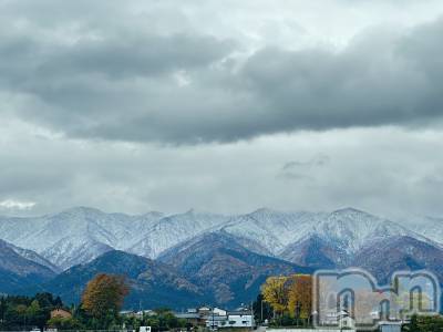 ʥå륺СʥåBar Peace(ʥåС ԡ) 餳1119̥֥⛰️❄️