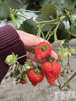 ����������ʥå��������륺�С����ʥå�Bar Peace(���ʥå��С� �ԡ���) �餳��3��9���̥�֥�����🍓✨��