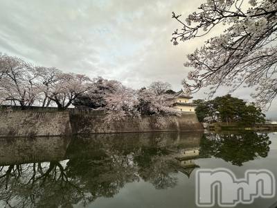 ����������ʥå��������륺�С����ʥå�Bar Peace(���ʥå��С� �ԡ���) �餳��4��8���̥�֥�����🌸🍡��