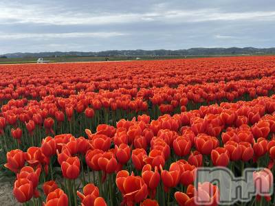 ����������ʥå��������륺�С����ʥå�Bar Peace(���ʥå��С� �ԡ���) �餳��4��23���̥�֥�����🌷🤍��