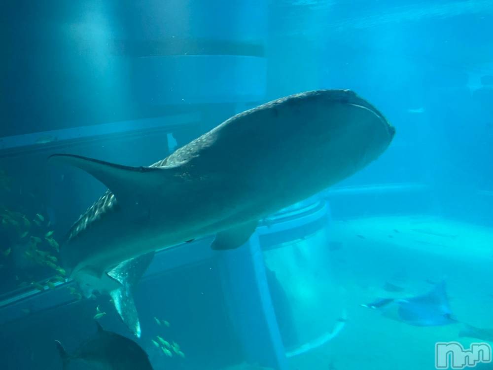 ĹХ顦CLUB FELIX( եꥯ) ʤʤ1121̥֥🐟✨🫧