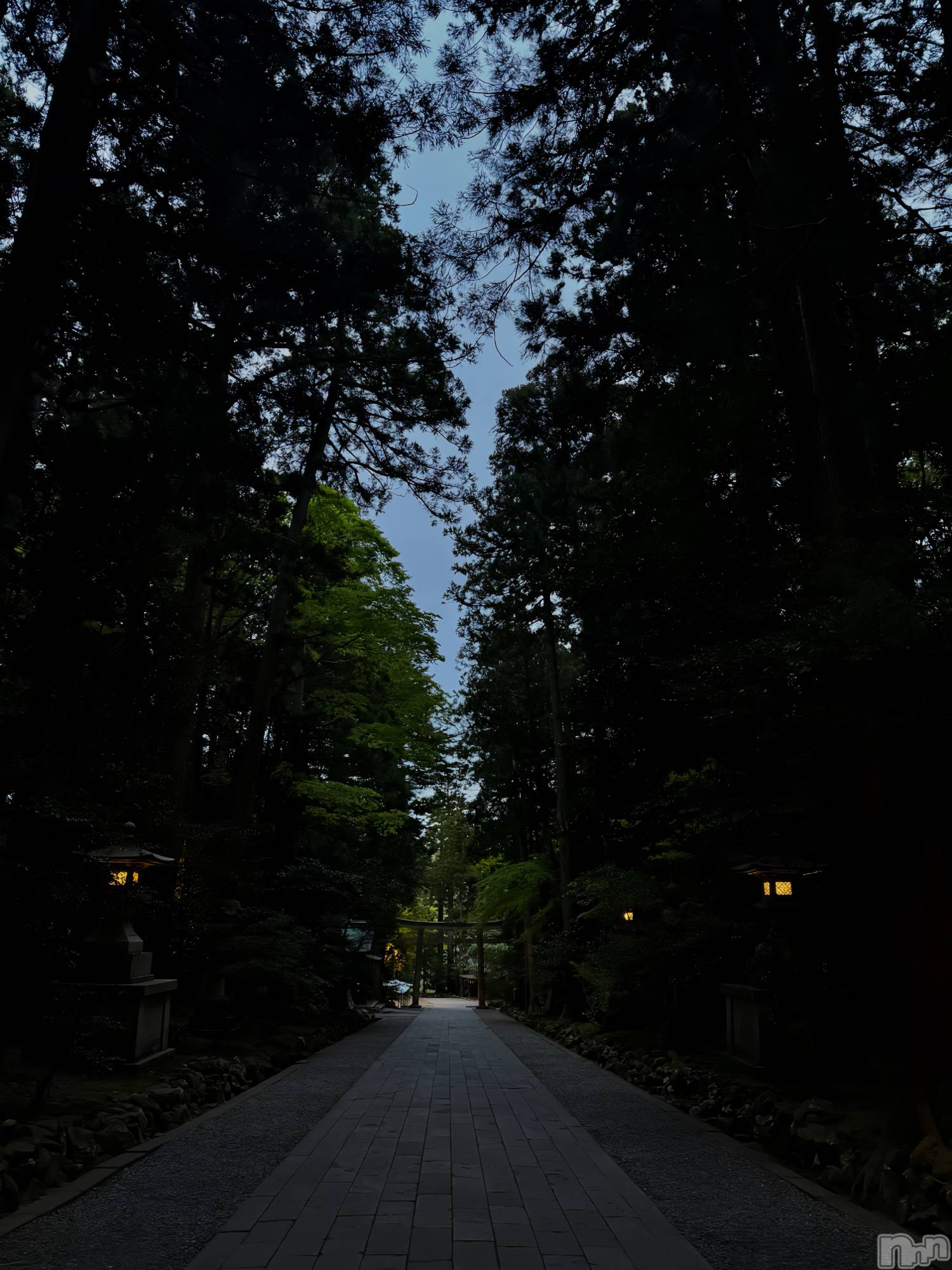 �����������Х��顦�����Club Calnet(����֡������) ��2026ǯ4��27���̥�֥����ּ���������