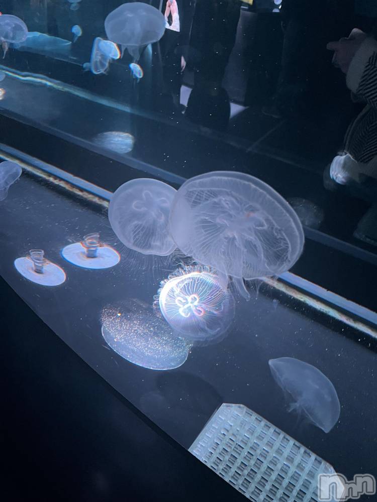 ƲХ顦clubTiara(ƥ) Τ1015̥֥1015 2124ʬΥ֥