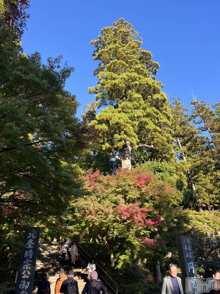 ƲХ顦clubTiara(ƥ) Τ119̥֥119 2104ʬΥ֥