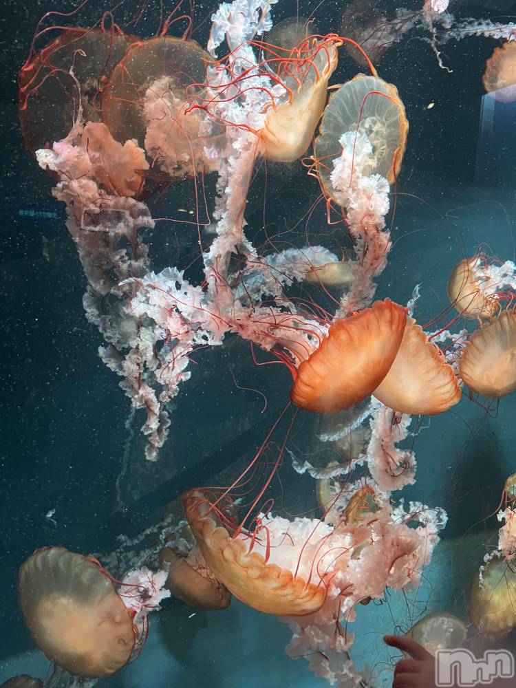 ƲХ顦clubTiara(ƥ) Τ1128̥֥1128 2115ʬΥ֥