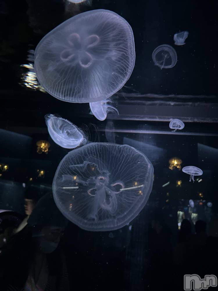 ��Ʋ����Х��顦�����clubTiara(�ƥ�����) ��Τ�2��5���̥�֥�����🩵🪼🩵��