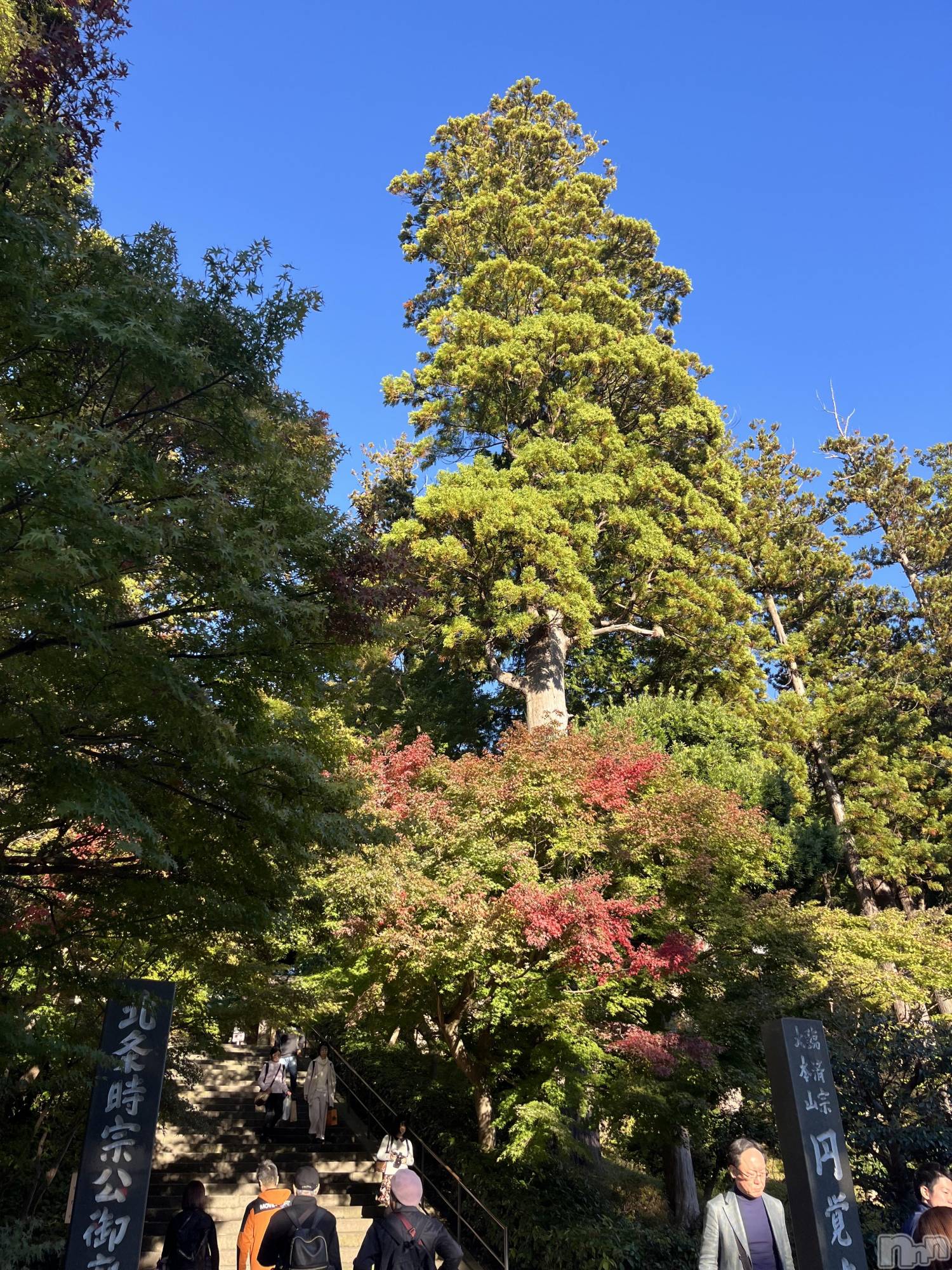 ƲХ顦clubTiara(ƥ) 2025ǯ119̥֥119 2104ʬΥ֥