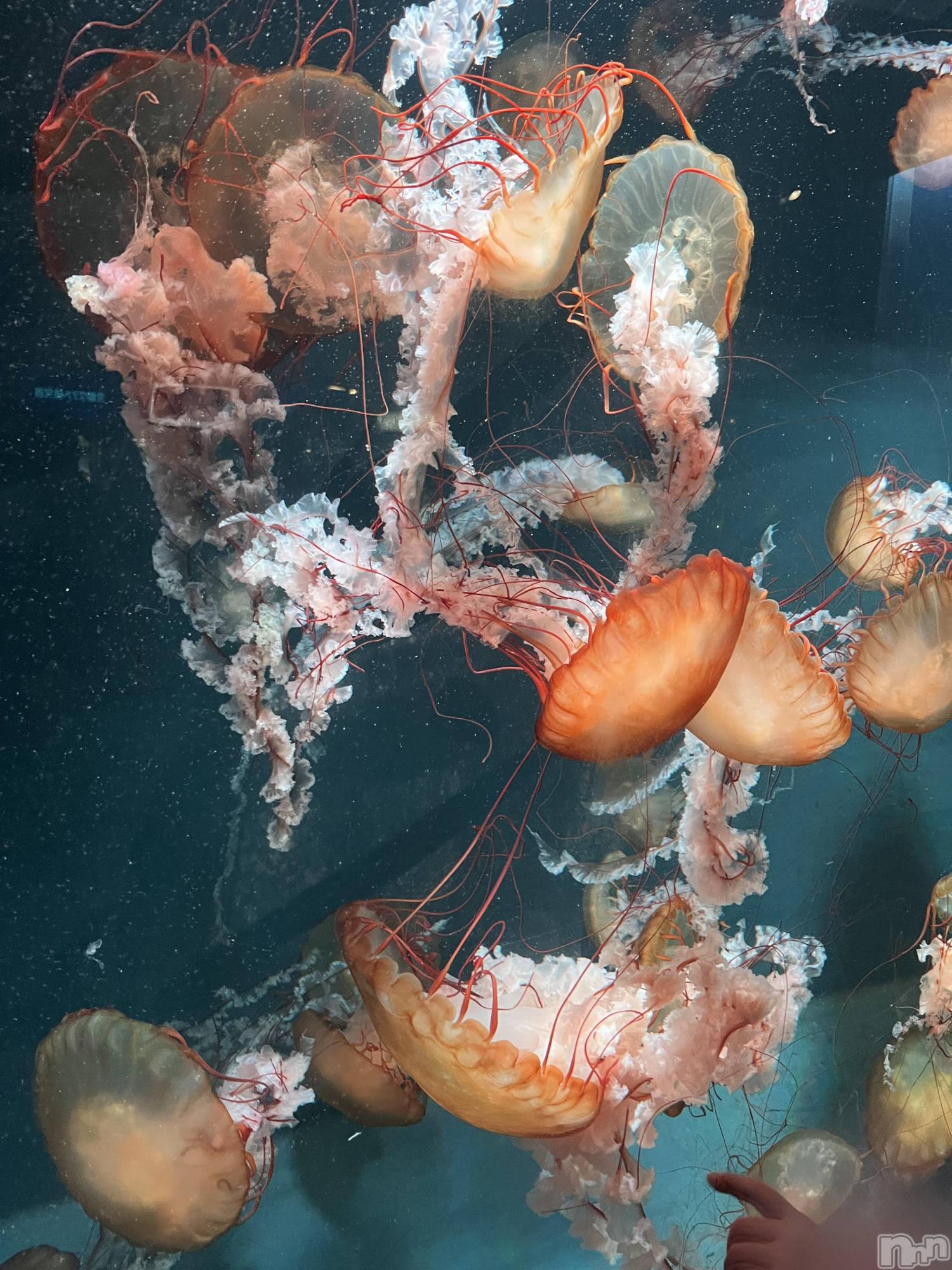 ƲХ顦clubTiara(ƥ) 2025ǯ1128̥֥1128 2115ʬΥ֥